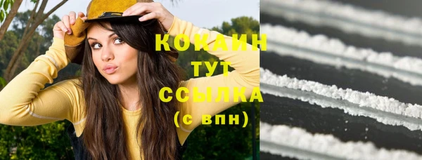 индика Бежецк