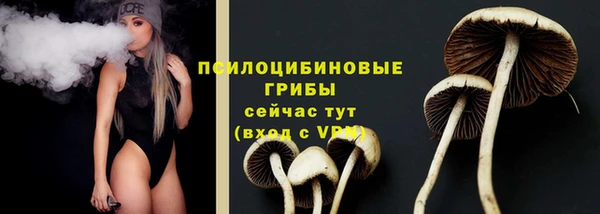 бошки Вязьма